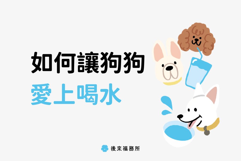 #寵物身後事 #高雄寵物火化 #高雄寵物禮儀 #寵物骨灰紀念品#後來福務所 #不惜與陪伴 #原高雄寵物天堂