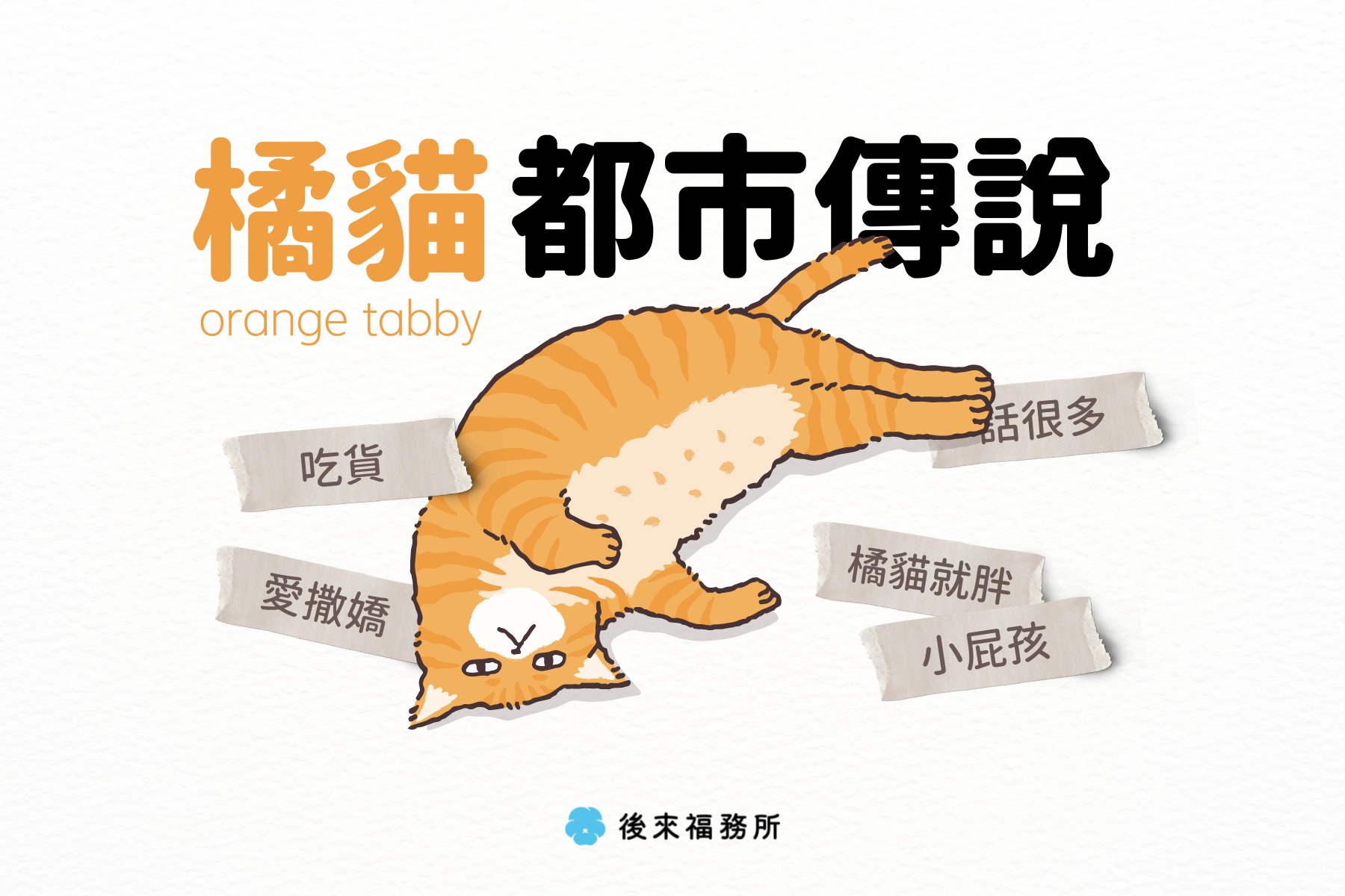 喵喵都市傳說