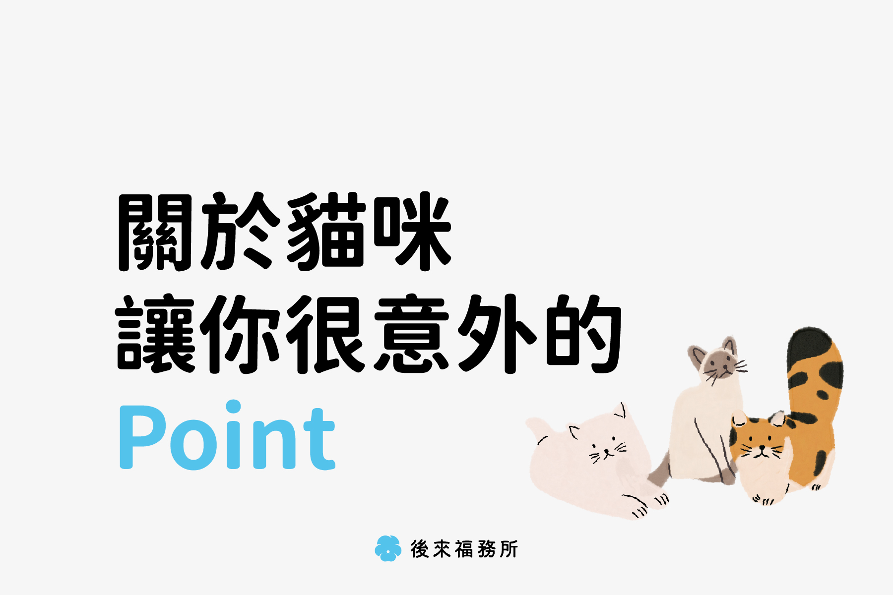 關於貓貓可能讓你很意外的point