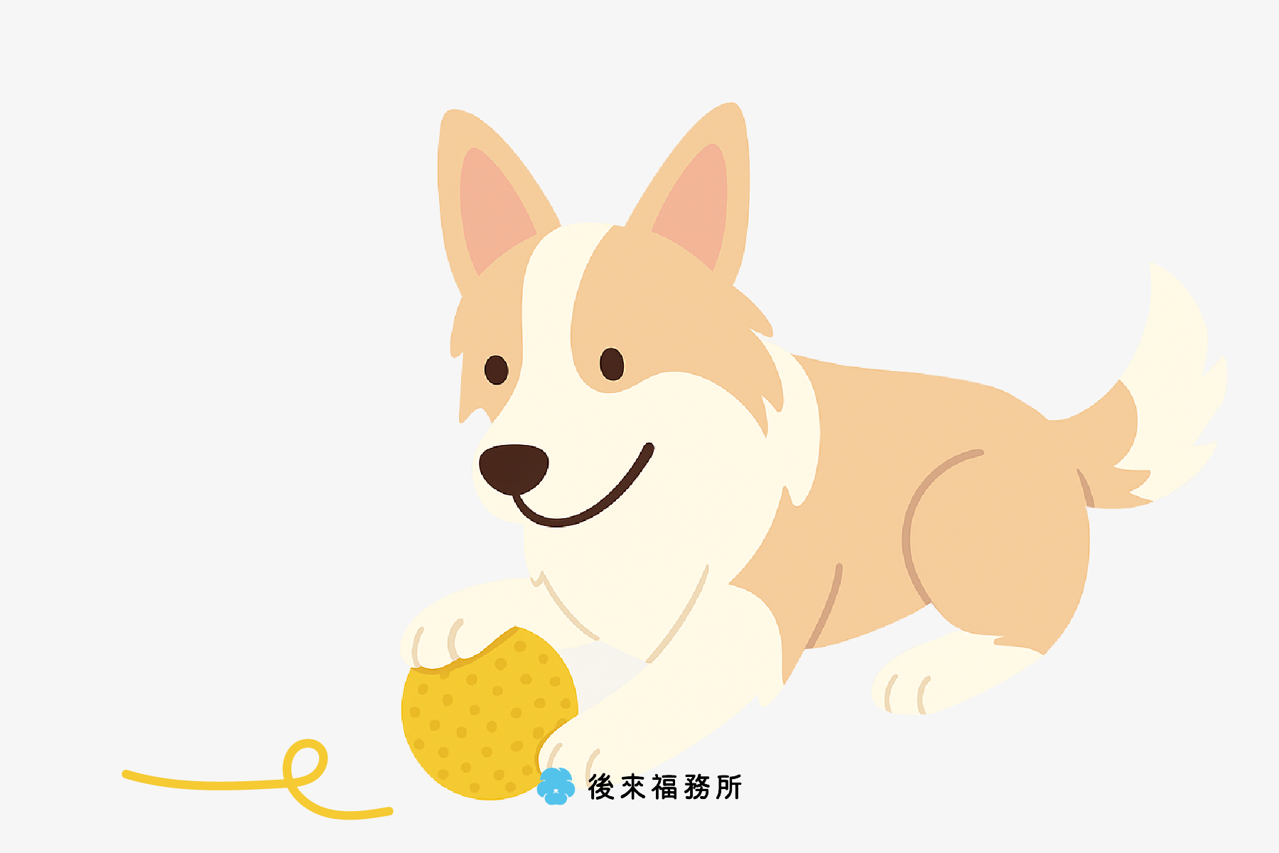 狗狗眼中的世界長怎樣？了解狗狗是否有色盲