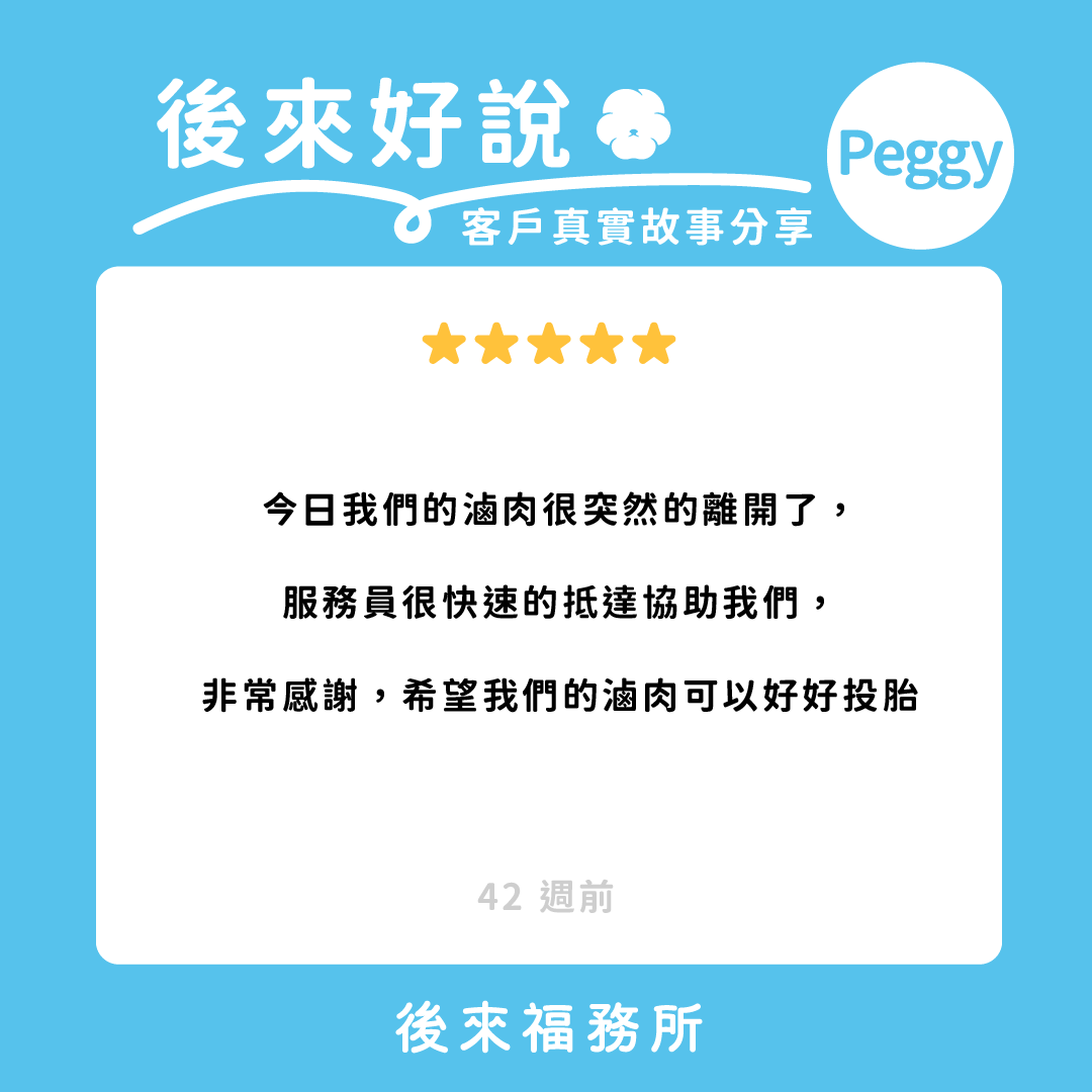後來福客戶真實分享 高雄寵物火化 寵物禮儀 寵物離世